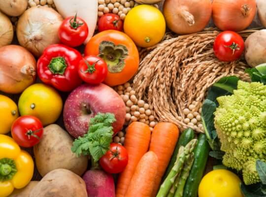 食堂のSDGs対策・サステナブルフードにいち早く対応